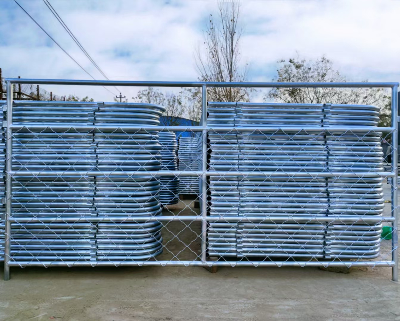 Cattle corral yard