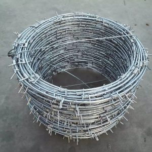 Barbed Wire Manufacturer & Supplier in China