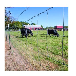 Field Fence Manufacturer & Supplier in China