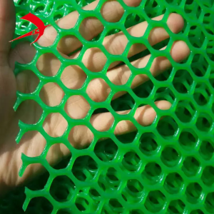 Plastic Flat Mesh Manufacturer & Supplier in China